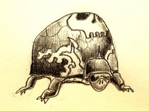 Turtle for the Kill Turtle for the Kill